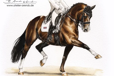 Dressage Horse Drawings In Pencil
