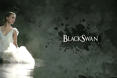 Black Swan Wallpapers HD Download