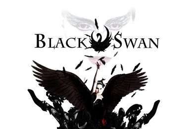 Black Swan Wallpapers   Wallpapers Cave