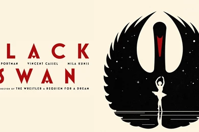 Black Swan Wallpapers   Wallpapers Cave