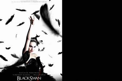 Black Swan 1440x900 Wallpapers, 1440x900 Wallpapers & Pictures ...
