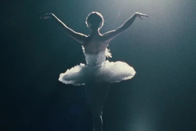 Black Swan Wallpapers   Wallpapers HD Fine