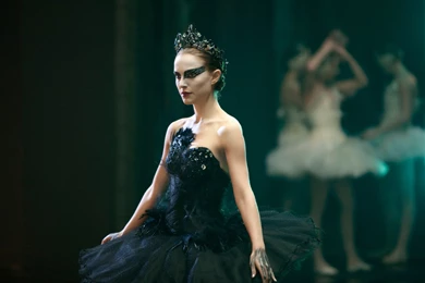 Black Swan Wallpapers Desktop