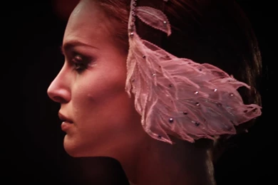 Black Swan   Black Swan Wallpapers (23300031)   Fanpop