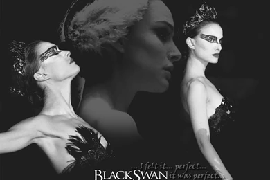 Black Swan   Natalie Portman Wallpapers (18220268)   Fanpop