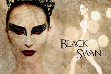Black Swan Wallpapers   Black Swan Photo (19953127)   Fanpop