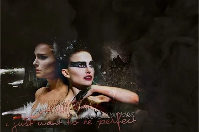 Black Swan Wallpapers HD Download