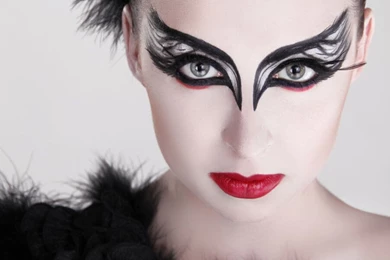 Black Swan Wallpapers Desktop