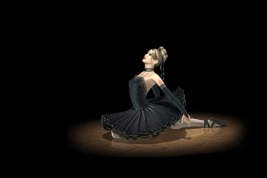 Black Swan Wallpapers And Images   Wallpapers, Pictures, Photos