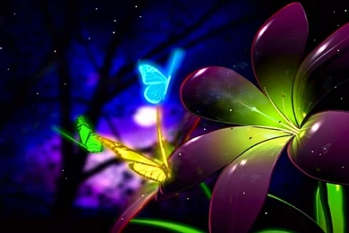 Butterfly Wallpapers 89O   66 Wallpapers