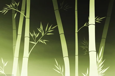 Bamboo Wallpapers – AB Wallpapers