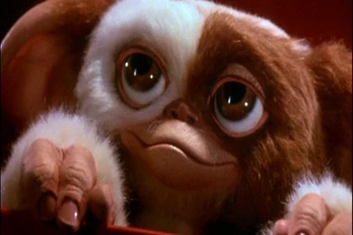 Gizmo By Aimee5 On DeviantArt