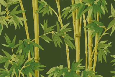 Brewster 566 43980 27 Inch By 324 Inch Bamboo Solid Print ...