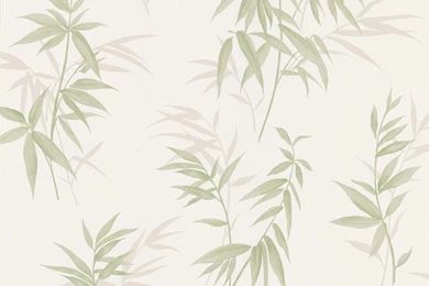 Bamboo Shoot Light Green Leaves Wallpaper, Bolt   Tropical ...