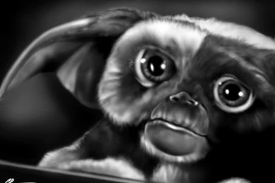 Gizmo By CSM 101 On DeviantArt