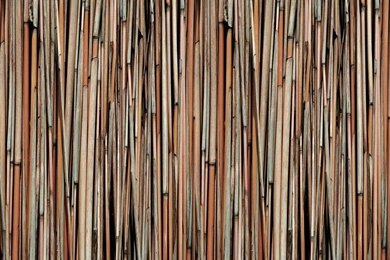 Bloompapers   Bamboo Mural