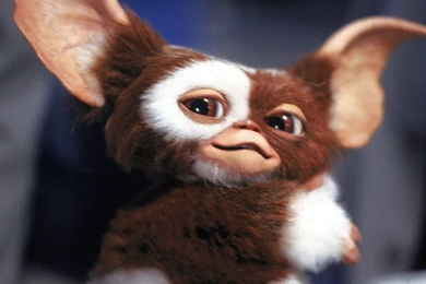 Gremlins 2 Turns 25: Trivia About The 'New Batch' Film : People.com
