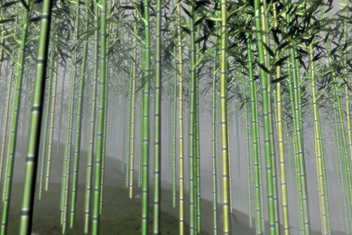 Wallpapers To Buy   Wallpapers High Definition