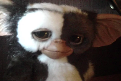 Gremlins Gizmo 1.1 Replica By Medicom   YouTube