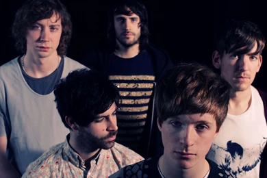 Foals