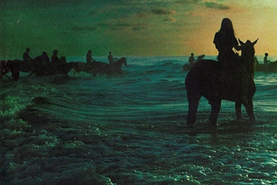 Gallery   Leif Podhajský