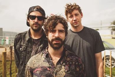 50 Geeky Facts About Foals