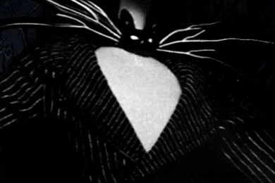 Les 3 Wallpapers iPhone Du Jour (05/01/2015)   AppSystem