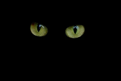 Download 3d abstract backgrounds 3481 hd wallpapers Free By Udhao.net