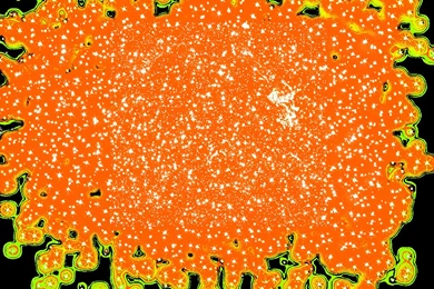 Sparkle Effect Png   Wallpaper.