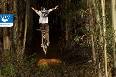 Desktop Fox Hunt Pics Dowload