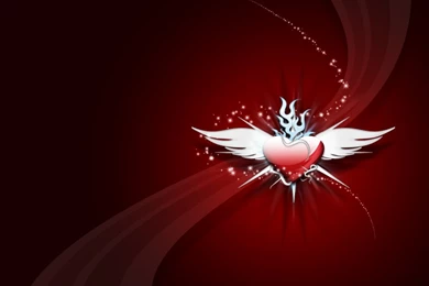 Heart With Wings : Desktop And Mobile Wallpapers : Wallippo