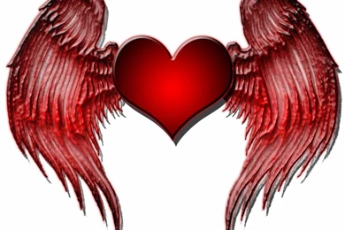 Gojing: Wings Heart HD Wallpapers