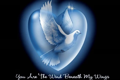 Wallpapers Heart Wings Hear Pictures 1600x1200