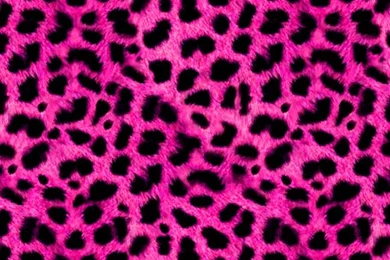 Pink Print iPhone 5 Wallpapers (640x1136)