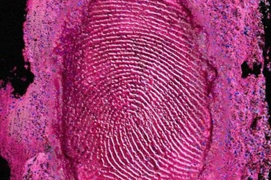 Index Of /wp content/uploads/2014/12