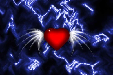 Wings Heart Picture And Photo 12