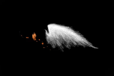 Angel Wings Heart Wallpapers