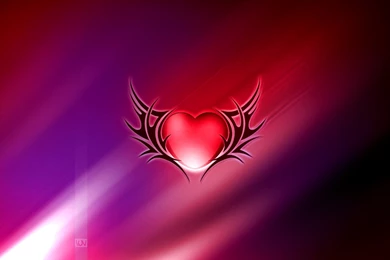 The Heart Of The Red Wings   Ztona Wallpapers
