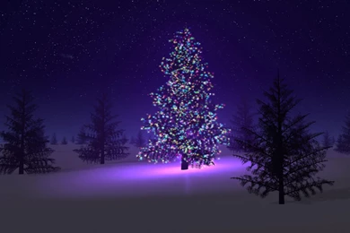 Christmas Tree In The Snow Wallpapers