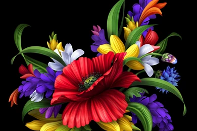 Wallpapers HD Special Flower Bouquet   HD Wallpapers Expert