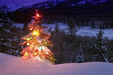 Wallpaper: Holiday, Christmas Tree, Colored Lantern, Snow ...