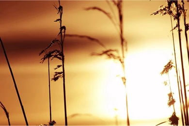 Special Edition Twilight Landscape Wallpapers 7 － Landscape ...