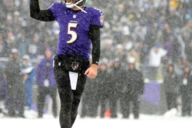 Joe Flacco Quotes. QuotesGram