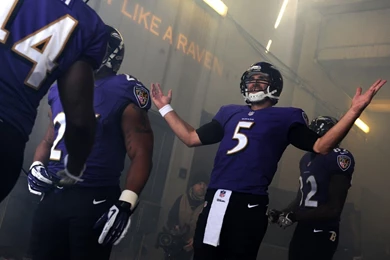 NFL Picks: Baltimore Ravens Clearly The Victims Of A Conspiracy ...