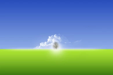 Tree, Beautiful, Wallpaper, Tarantula, Tarantulatree, Relaxing ...