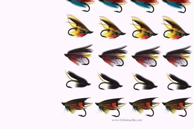 Fly Fishing Flies Computer Desktop Backgrounds Wallpapers