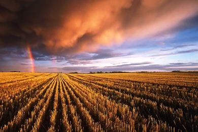 Desktop Wallpapers · Gallery · Nature · Autumn Rainbow