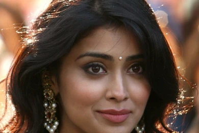 Bollywood Actresses Wallpaper  South Indian Actress Shriya Saran ...