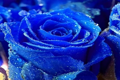 Beautiful Wallpapers Free Download Collection (40+)