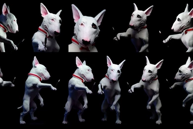 Bull Terrier By Rgyoung777 By BulliesOnParade On DeviantArt
